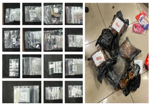 Mumbai Customs foils major smuggling attempts